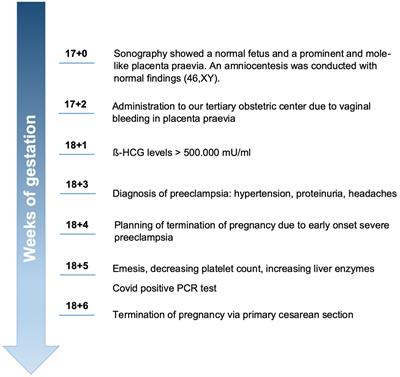 Severe, very early onset preeclampsia in a Covid 19-positive woman with a twin pregnancy presenting with a hydatidiform mole and coexisting normal fetus: a case report